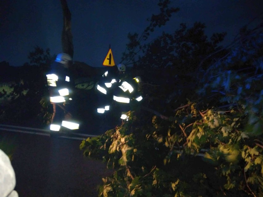 Burze w Podlaskiem niszczyły domy i powalały drzewa. Zdjęcie...