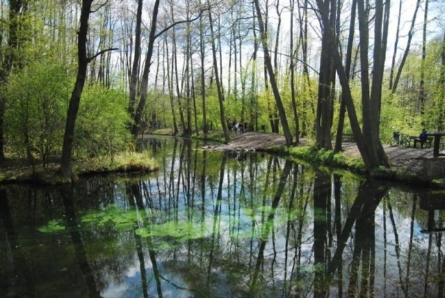 Rezerwat Niebieskie Źródła w Tomaszowie Mazowieckim, położony w dolinie Pilicy. To unikatowe na skalę europejską zjawiska krasowe.Główny kompleks wodonośny stanowią spękane wapienie jurajskie, z których wytryska woda przybierająca niebiesko-błękitno-zieloną barwę. Barwa wody jest efektem działań rozproszonego światła słonecznego, a barwa wody uzależniona jest od pogody. Warto tu pospacerować i odpocząć wśród zieleni.