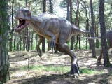 Dinozaury na Górze Chełmskiej? Park jurajski coraz bardziej realny 