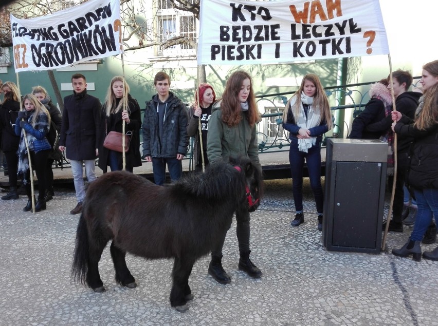 Uczniowie Centrum Edukacji Ogrodniczej po raz kolejny...