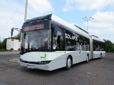 Na drogi w Rybniku wyjedzie 11 fabrycznie nowych hybrydowych autobusów. Umowa na ich dostarczenie będzie podpisana jeszcze w tym roku 