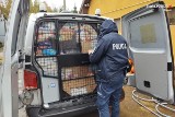 Jest jedzenie! Bieruńscy policjanci pospieszyli na ratunek czworonożnym pogorzelcom z Fundacji Przystań Ocalenie dla Zwierząt w Ćwiklicach 