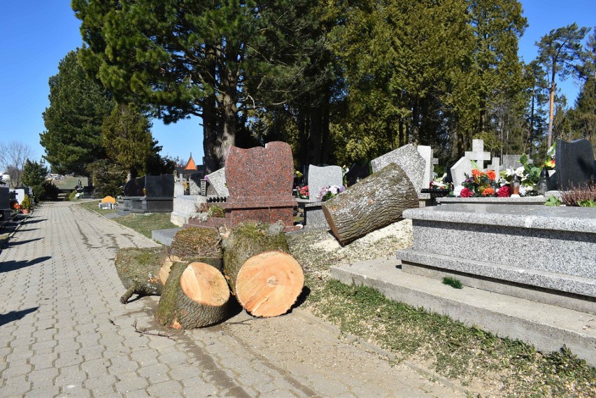 Podhale. Wycinka drzew na cmentarzu w Zębie. Mieszkańcy są poruszeni. Ksiądz tłumaczy, że drzewa były zagrożeniem