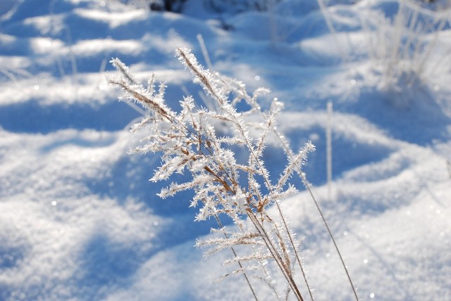 Specjaliści ostrzegają przed zamieciami śnieżnymi, których spodziewać się można w regionie w tym tygodniu.