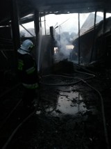 Konopki - Jałbrzyków Stok. Pożar budynków gospodarczych. Ucierpiało bydło (zdjęcia) 