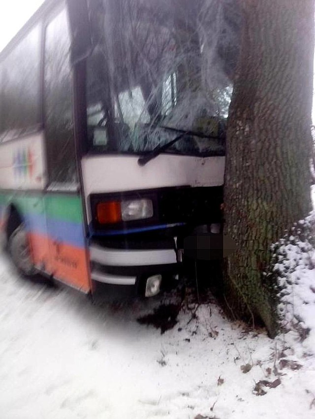 W Lejkowie autobus uderzył w drzewo