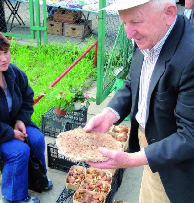 Kazimierz Wawrzyńczyk ogląda kanie przy targowisku w Łomży