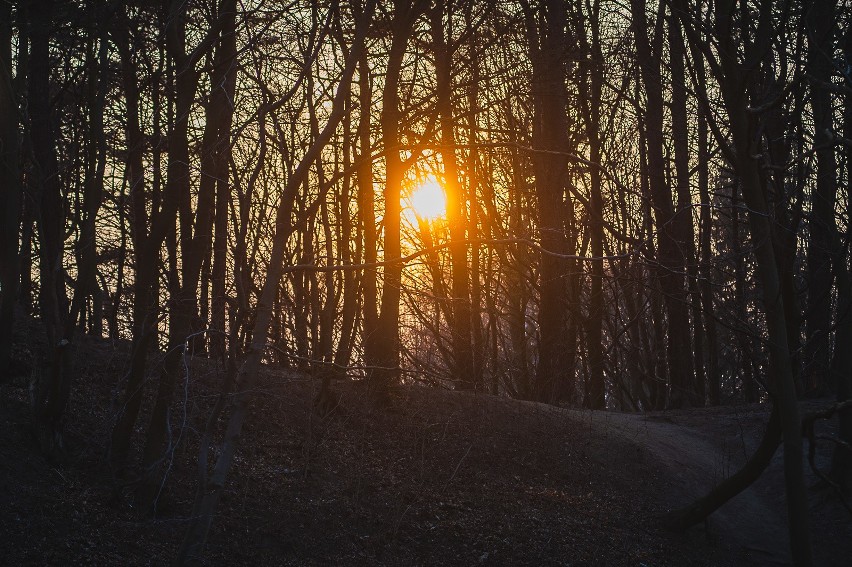 Babie Doły, 28.03.2020