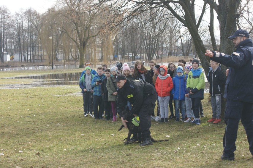 Szkolenie przewodników psów policyjnych na bulwarach (zdjęcia)