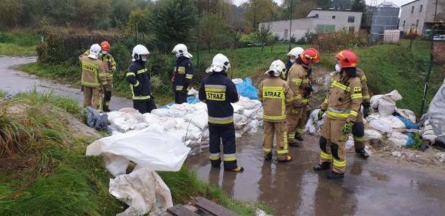 Najwięcej interwencji straży pożarnej odnotowano w powiatach raciborskim, wodzisławskim, gliwickim, rybnickim i cieszyńskim