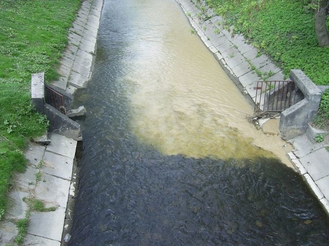 Zanieczyszczona woda w rzece Białej