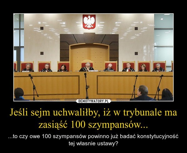 MEMY po wyroku Trybunału Konstytucyjnego. ZOBACZ