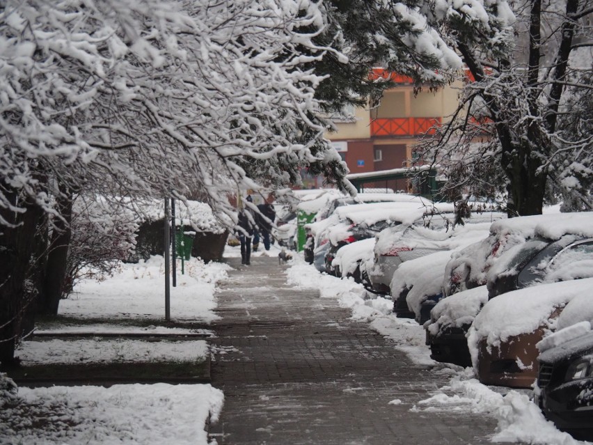 Śnieg się stopił, ale znów popada i chwyci mróz. PROGNOZA POGODY