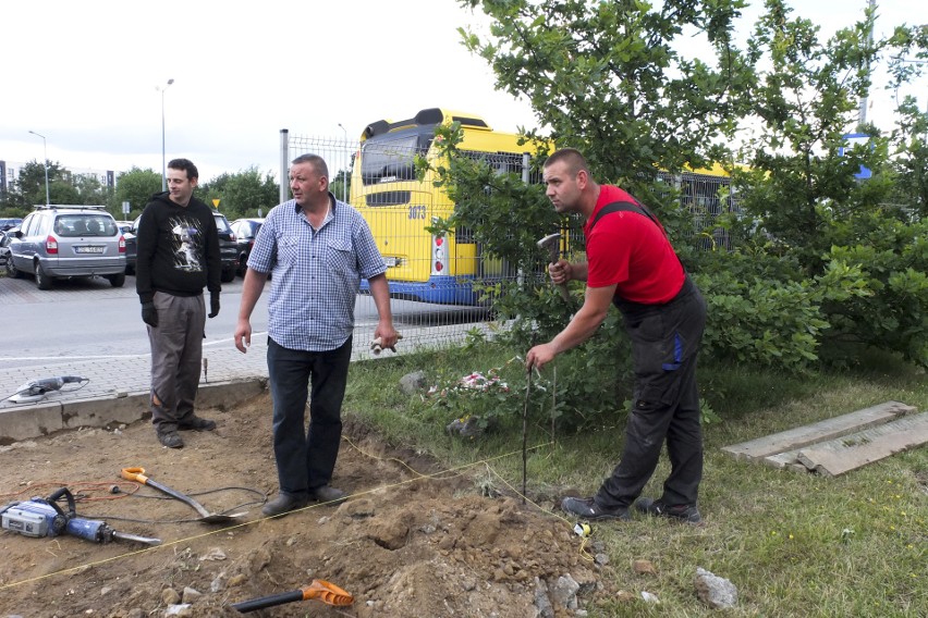 Prace przy budowie nowej wiaty przystankowej przy słupskim...