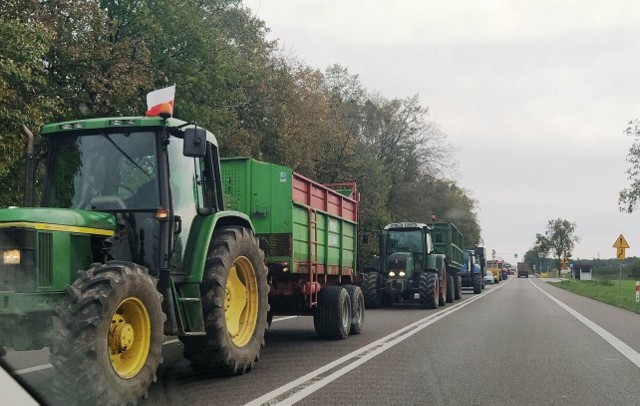 Od rana solidne korki tworzyły się na wszystkich drogach dojazdowych do chełmskiego ronda im. R. Dmowskiego