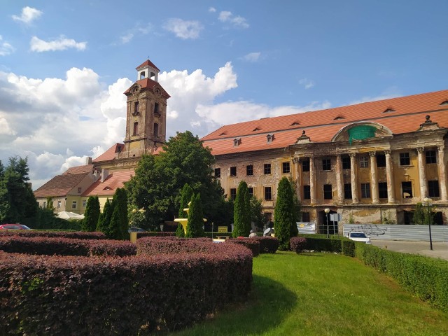 Do końca sierpnia mieszkańcy Żar mogą składać swoje propozycje w sprawie zamku.