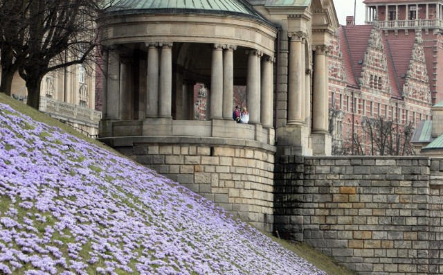 Dzieje się dużo w weekend w Szczecinie. Szczegółowa lista wydarzeń dla dorosłych i dla dzieci na 11–13 marca 2022. Aby przejść do galerii, przesuń zdjęcie gestem lub naciśnij strzałkę w prawo >>>