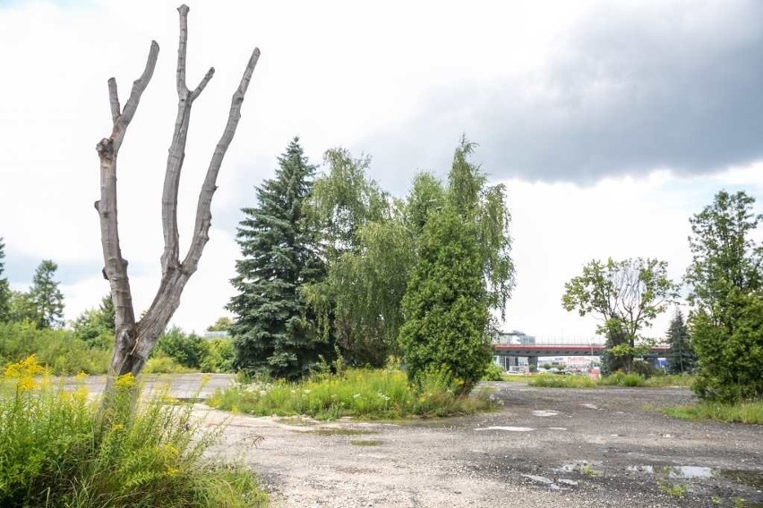 Plaża, fontanna, boiska i food trucki. Taki ma być park na terenie po byłym motelu Krak