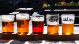Czy nasze piwa są trujące? Specjaliści przebadali 18 popularnych piw. Co odkryli laboranci? WYNIKI