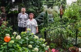 Tak wyglądają najciekawsze ogródki w Bydgoszczy. One pojawiły się w w konkursie Bydgoszcz w kwiatach i zieleni [zdjęcia]