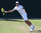 Wimbledon. Dziś Radwańska kontra Bacsinszky w 3. rundzie