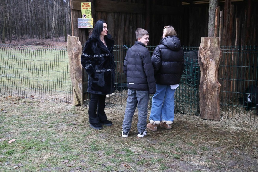 Duże zainteresowanie żywą szopką w Zoo Leśne Zacisze w Lisowie w pierwszy dzień świąt. Zobacz zdjęcia
