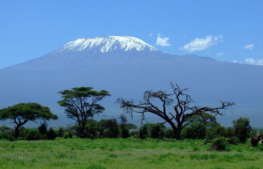 Widok na szczyt Kilimandżaro na granicy z Tanzanią.