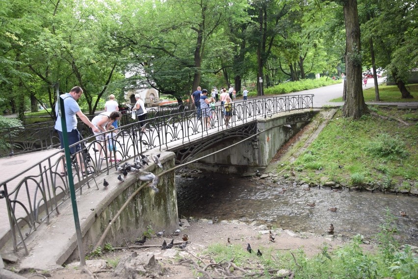 Gmina Krzeszowice kupiła Dzikie Planty. Zmieni je w prawdziwe bulwary 