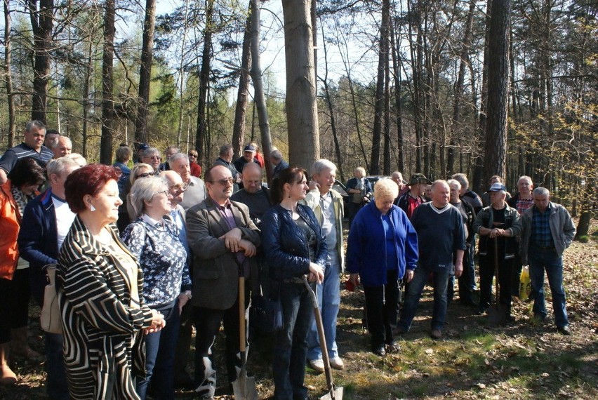 Sadzenie Lasu Europejskiego w Dąbrowie Górniczej w 2015 i...