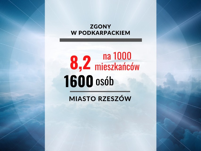 MIASTO RZESZÓW...