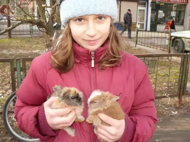 Miniaturki królików &#8211; prezent dla dzieci.