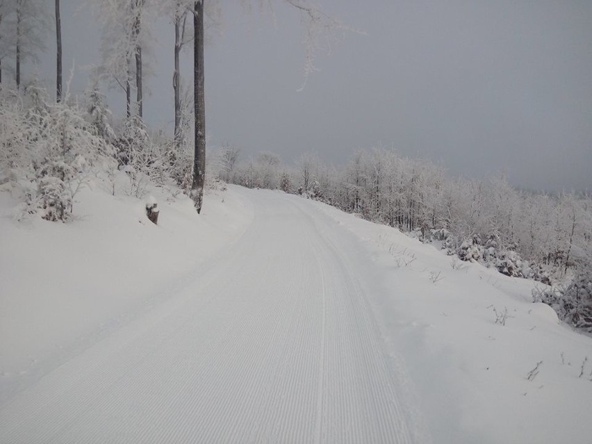 Góry Sowie - świetne warunki do narciarstwa biegowego....