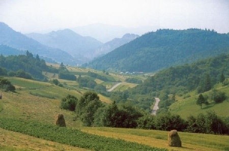 Szczawnica, Przehyba (11 km) Wielki Rogacz (17 km) Jaworki (26 km) Szlachtowa (28 km) Szczawnica (31,4 km) 31,4 km, 4 h, trasa - trudna