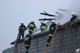 Pożar w Karsznicach pod Łowiczem. Strażacy ewakuowali ponad 300 świń [ZDJĘCIA+FILM]