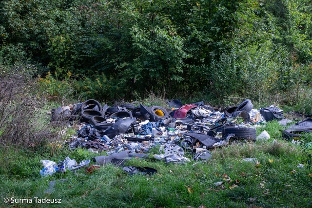 Tereny dawnych wsi Burzykowo i Słotnica, obecnie należące do Stargardu