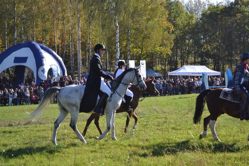 Hubertus 2014. Jeźdźcy z całego regionu opanowali zamkowe...