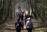 W Poleskim Parku Narodowym tłumy! Wszystko zamknięte, więc mieszkańcy regionu spacerują