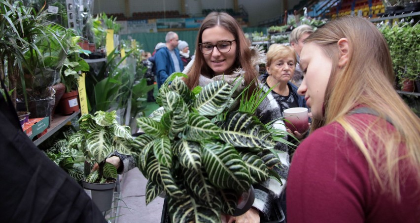 "Festiwal roślin" w hali sportowej na osiedlu Lotnisko w...