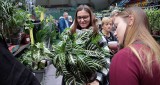 "Festiwal roślin" doniczkowych w hali sportowej SP nr 21 na osiedlu Lotnisko w Grudziądzu. Zobacz zdjęcia 