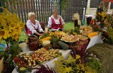 Raciechowice. Pierwsze od lat Dożynki Gminne. Dopisała pogoda i uczestnicy 