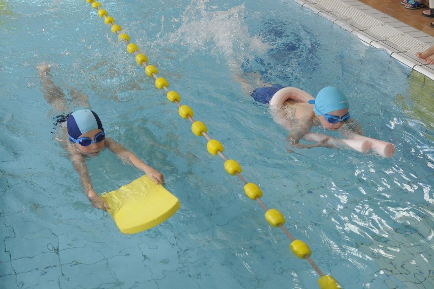 Przedszkolaki z Bydgoszczy wody się nie boją. I pływają aż miło