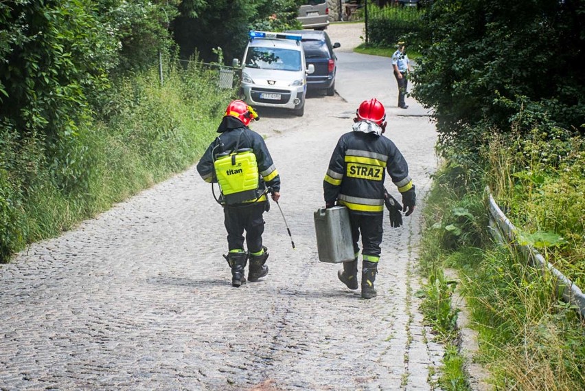 Zakopane. Uwaga kierowcy! Wielka plama oleju zalała Ubocz [ZDJĘCIA]