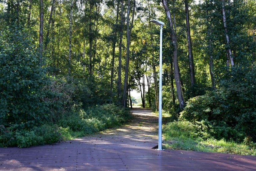 Promenada w Trzebieży. Brakuje ławek, śmietników i leżaków. Dlaczego?