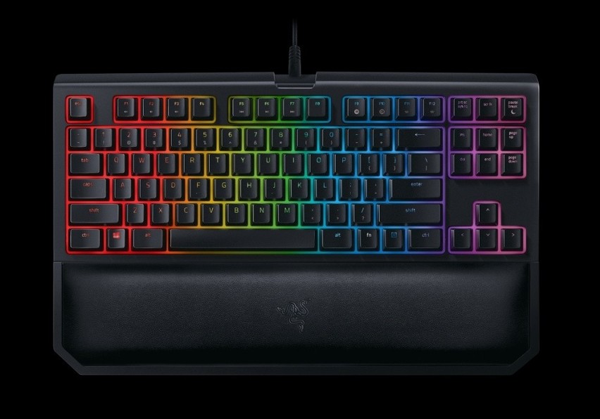 Razer BlackWidow TE Chroma V2
Razer BlackWidow TE Chroma V2