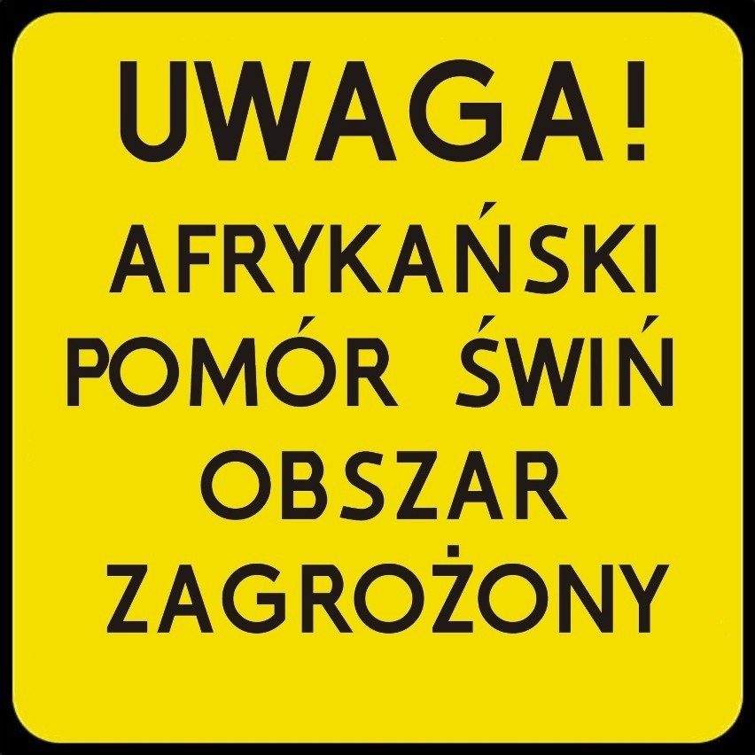 Wysoce zjadliwa grypa ptaków i wirus ASF ponownie atakują na Śląsku