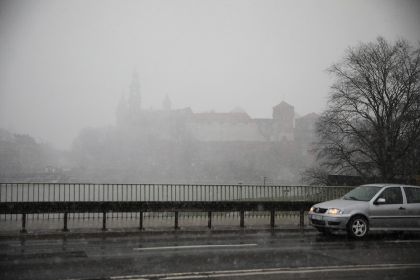 Kraków. Wielka wiosenna śnieżyca nawiedziła miasto. Wiadomo! Kwiecień plecień, bo przeplata... [zdjęcia]