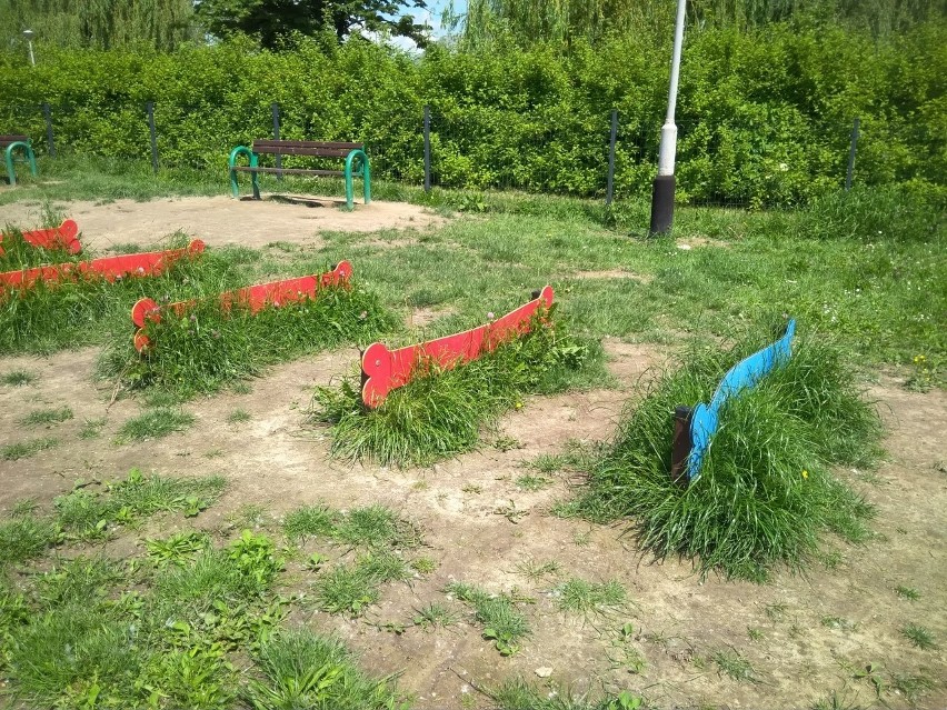 Zarośnięty psi park w Rzeszowie. Po naszej interwencji trawę wykoszono [ZDJĘCIA INTERNAUTKI]