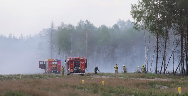 54-latek podpalił ściółkę leśną w Kiełczewie, później podkładał ogień pod budynki