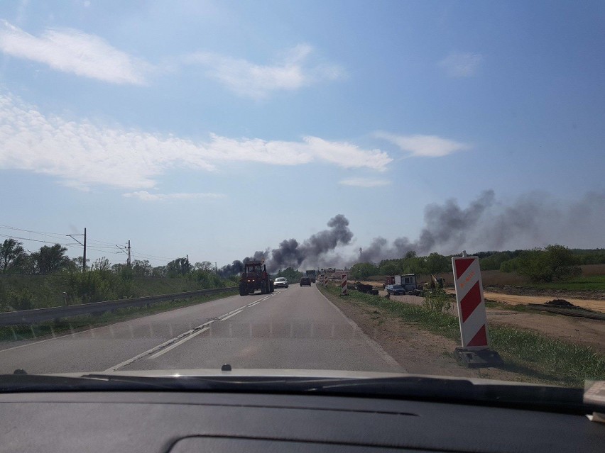 Na szczęście sytuacja została opanowana i nikomu nic się nie...