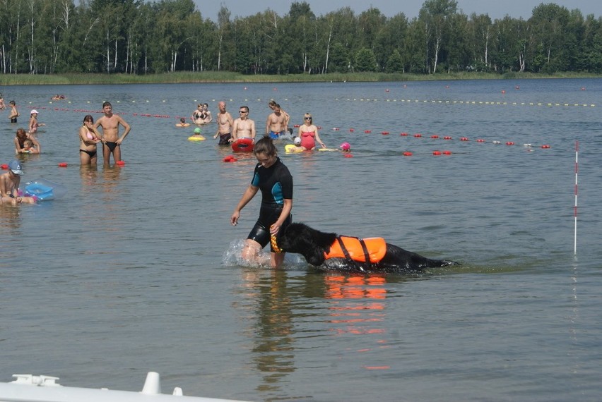 Mistrzostwa Polski Psów Ratowniczych i Pracujących w Wodzie...